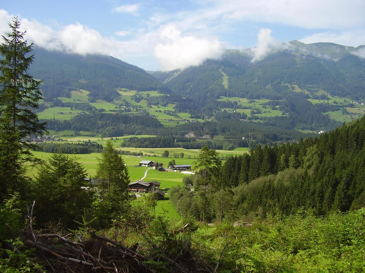 Gasthof Schuetthof นอยเคียร์เชน อัม โกรสเวเนดิเกอร์ ภายนอก รูปภาพ