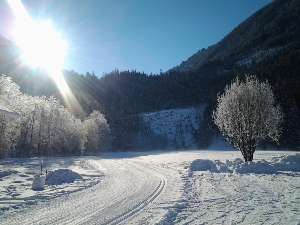 Gasthof Schuetthof นอยเคียร์เชน อัม โกรสเวเนดิเกอร์ ภายนอก รูปภาพ